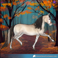 Horse Color:Bay Onyx Rabicano 