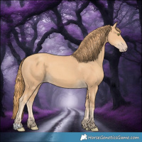 Horse Color:Gold Champagne 