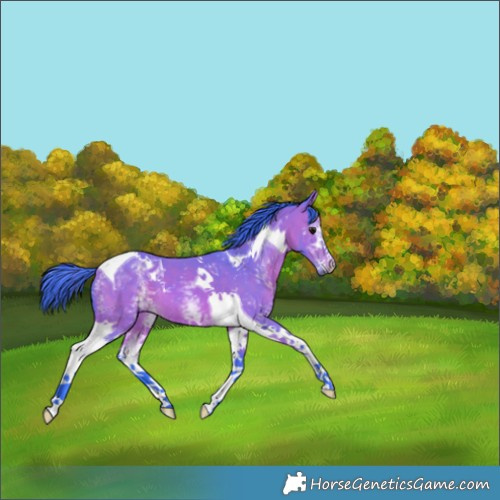 Horse Color:Watercolor White Spotted Bay Tobiano 