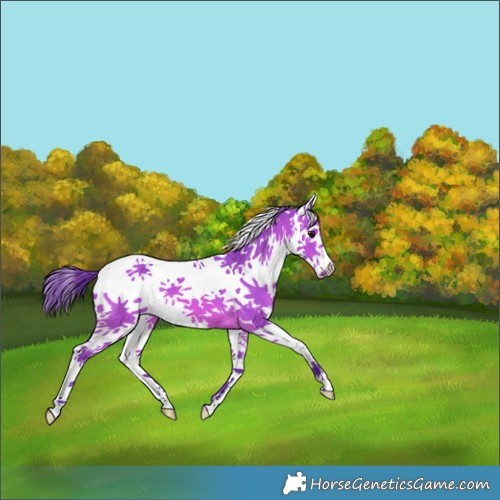 Horse Color:Watercolor White Spotted Bay 