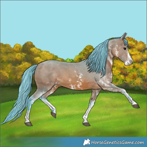 Horse Color:Watercolor White Spotted Bay 
