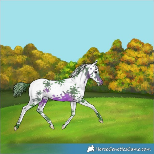 Horse Color:Watercolor White Spotted Brown 