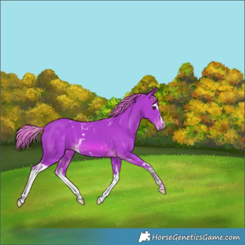 Horse Color:Watercolor White Spotted Chestnut 