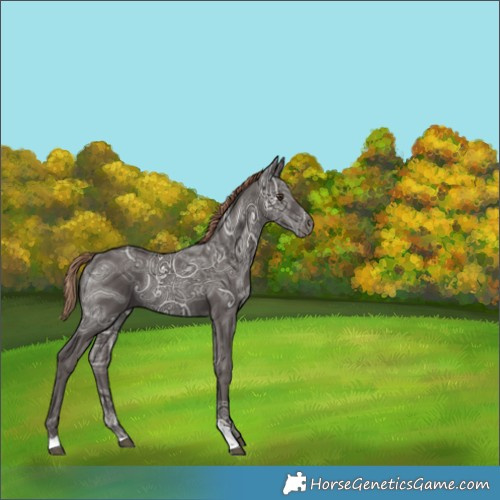 Horse Color:Liver Chestnut Ice Tobiano 