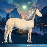 Horse Color:Palomino Tobiano 