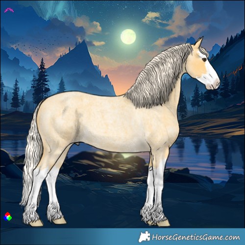 Horse Color:Palomino Roan Splash 