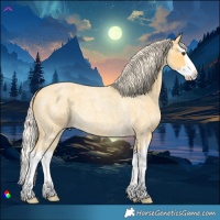Horse Color:Palomino Roan Splash