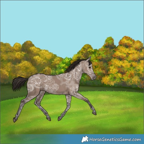 Horse Color:Liver Red Dun Ice 