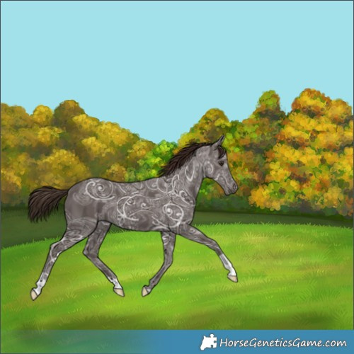 Horse Color:Liver Chestnut Ice 