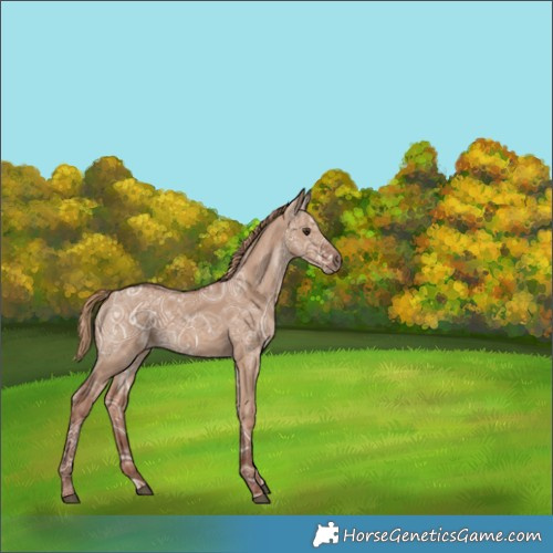 Horse Color:Red Dun Ice 