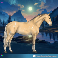Horse Color:White Spotted Palomino