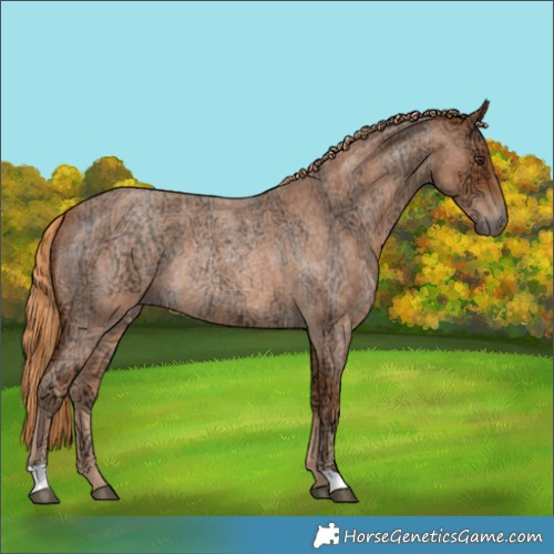 Horse Color:Red Ice Roan Rabicano 