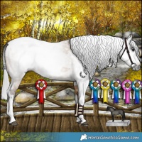 Horse Color:Gray Bay Dun  and Gray Bay Dun Splash 