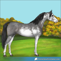 Horse Color:Platinum White Spotted Brown Sabino 