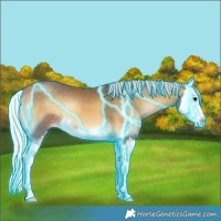 Horse Color:Thunderstruck Silver Buckskin Onyx Splash 
