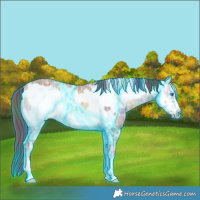 Horse Color:Nacre Thunderstruck Buckskin Ice Onyx Frame 