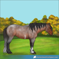 Horse Color:Brown Roan Sabino