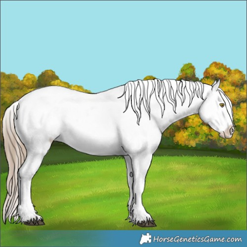 Horse Color:Liver Red Dun Sabino Snowflake Varnish 