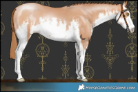 Horse Color:White Spotted Chocolate Bay Pearl 
