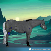 Horse Color:ERROR: UNKNOWN ANOMALY