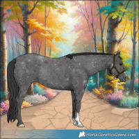 Horse Color:Smoky Black Ice 