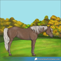Horse Color:Silver Black