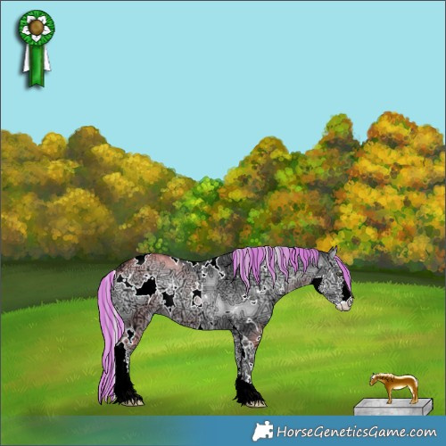 Horse Color:Painted White Spotted Silver Blue Onyx Chinchilla Ice Sabino 