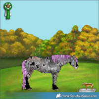 Horse Color:Painted White Spotted Silver Blue Onyx Chinchilla Ice Sabino 