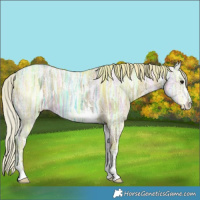 Horse Color:Silver Grullo Ice 