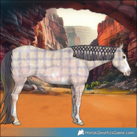 Horse Color:Plaid  Classic Champagne Ice 