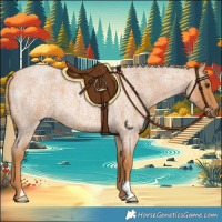 Horse Color:Red Roan 