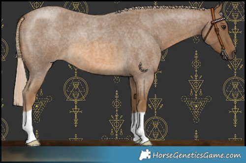 Horse Color:Chocolate Palomino Roan 