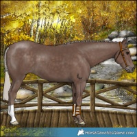 Horse Color:Silver Black 