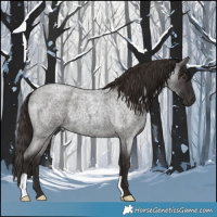 Horse Color:Liver Red Roan 