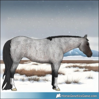Horse Color:Brown Roan 
