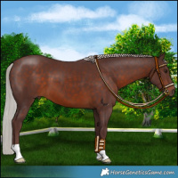 Horse Color:Chocolate Silver Brown 