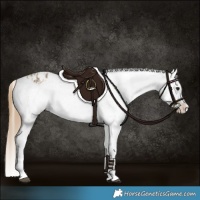 Horse Color:Buckskin Dun Snowflake Varnish  and Buckskin Dun Frame Snowflake Varnish 