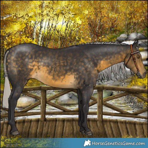 Horse Color:Silver Buckskin 