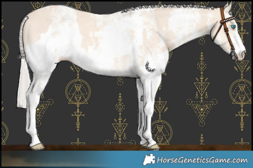 Horse Color:Cremello Sabino  and Cremello Sabino 