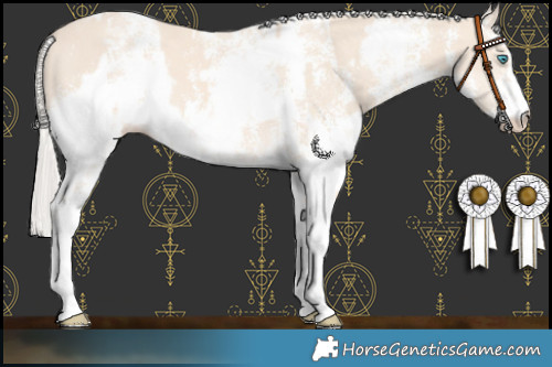 Horse Color:Cremello Sabino and Cremello Sabino