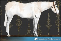 Horse Color:Cremello Sabino  and Cremello Sabino 