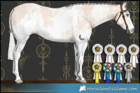 Horse Color:Cremello Sabino  and Cremello Sabino 