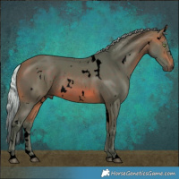 Horse Color:Void Watercolor White Spotted Silver Brown Rabicano
