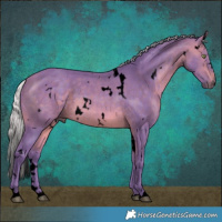 Horse Color:Void Watercolor White Spotted Silver Brown Rabicano 
