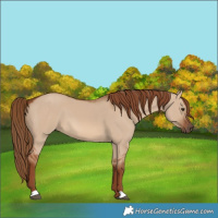 Horse Color:Red Dun 