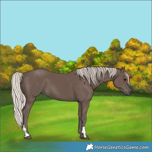 Horse Color:Silver Black 
