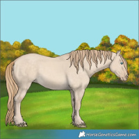 Horse Color:Perlino Dun 