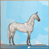 Horse Color:White Spotted Silver Grullo Roan Rabicano 