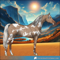 Horse Color:White Spotted Silver Grullo Rabicano 