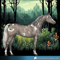 Horse Color:White Spotted Silver Grullo Rabicano